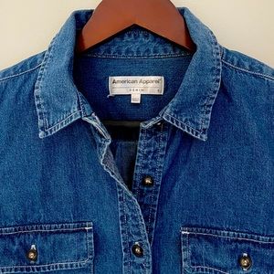 American Apparel denim dress (small)